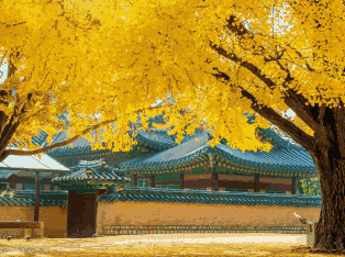 韩国外贸数据,外贸数据,NO钱包官网外贸数据