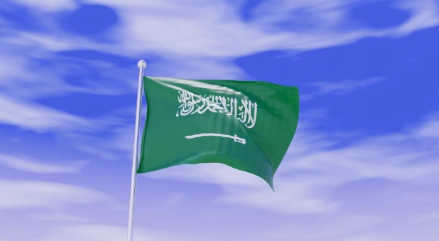 2025年沙特阿拉伯外贸市场开发攻略