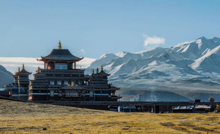 蒙古国海关数据查询平台（附免费试用查询平台）